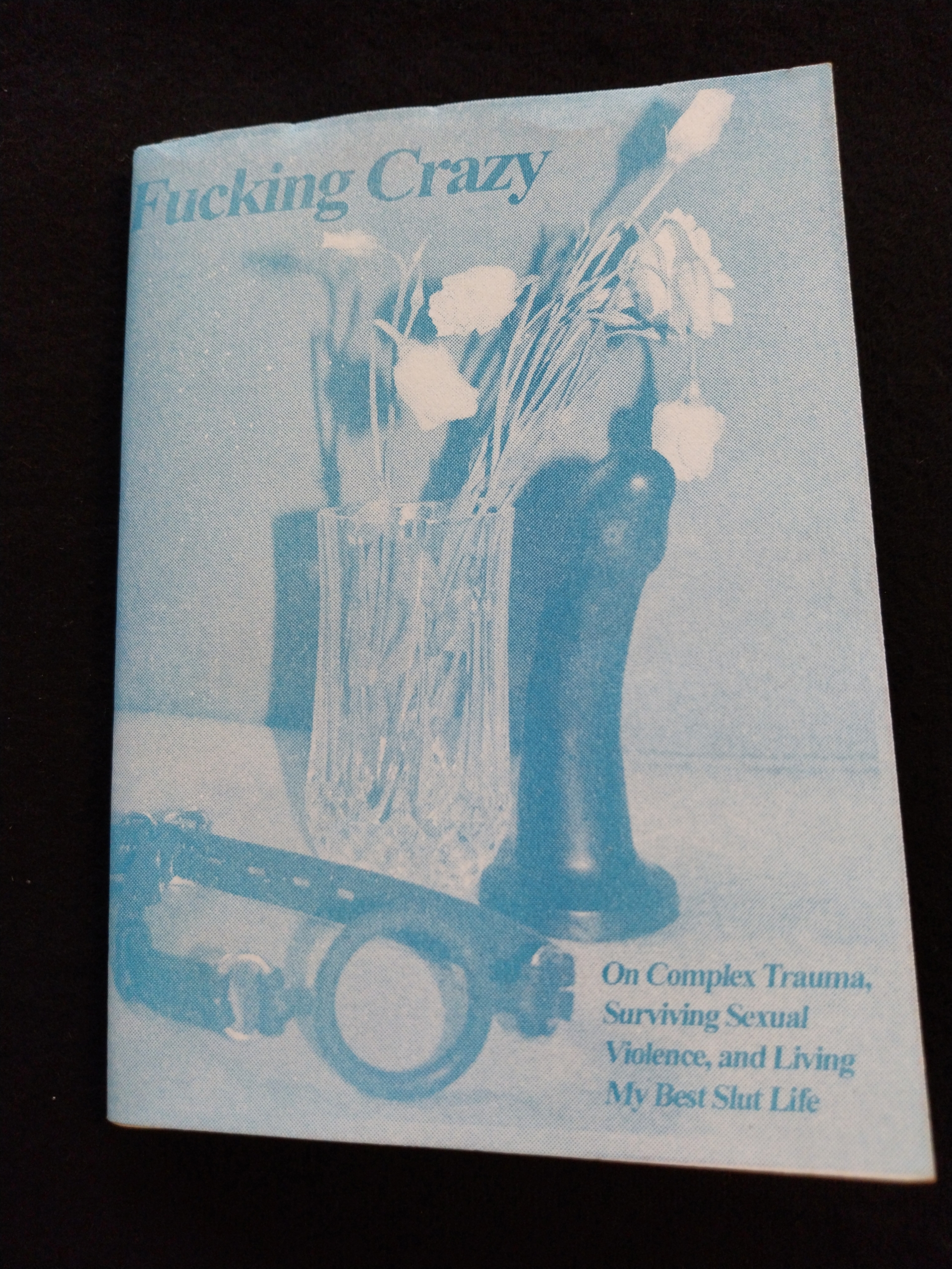 table zine pillion 07