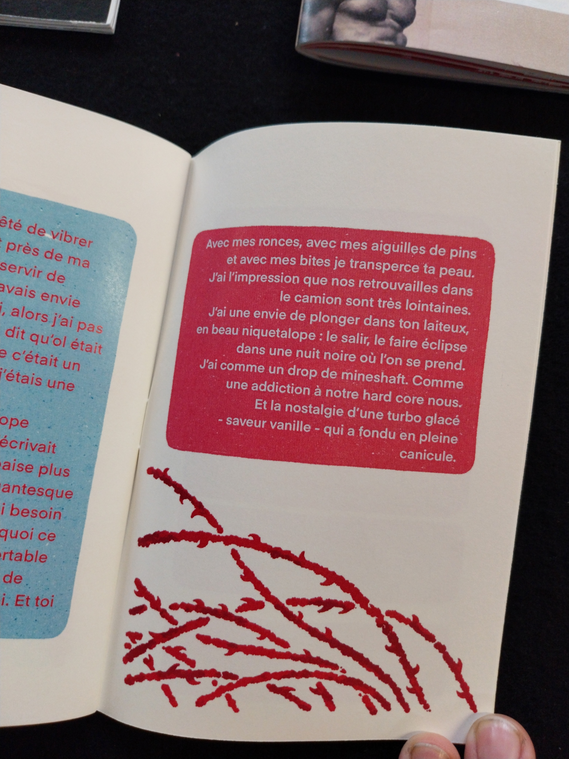 table zine pillion 10